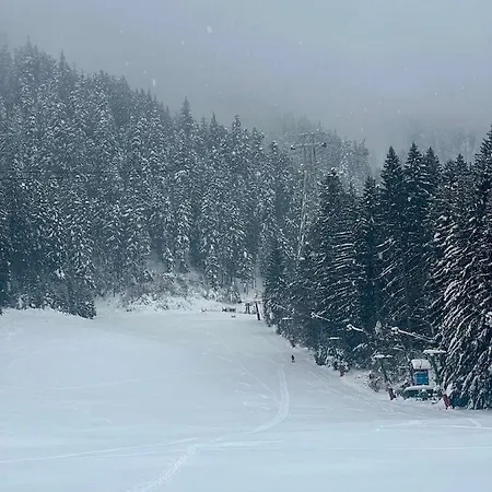 Tampa View Cosy Flat 2