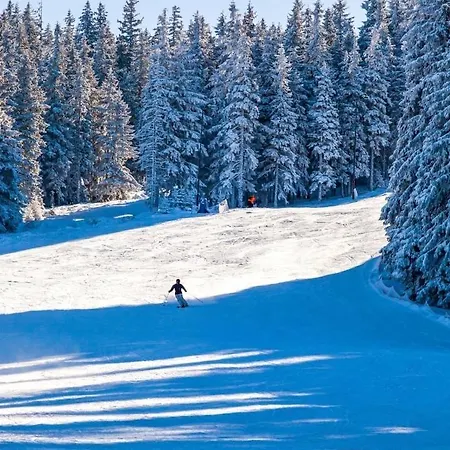 Tâmpa View Cosy Flat 2 * Braşov