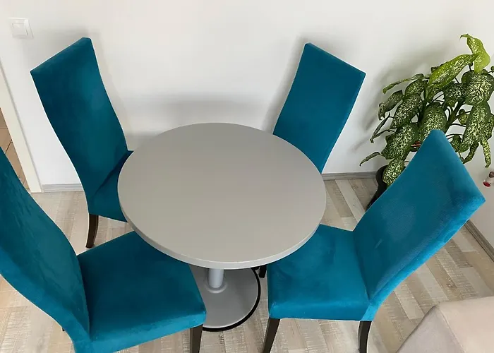 Tampa View Cosy Flat 2 Apartment