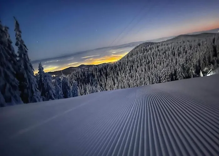 Apartment Tampa View Cosy Flat 2 Brasov