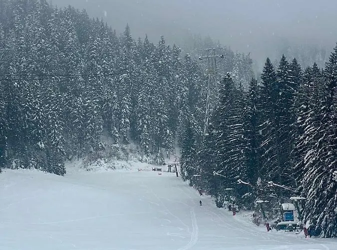 Tampa View Cosy Flat 2