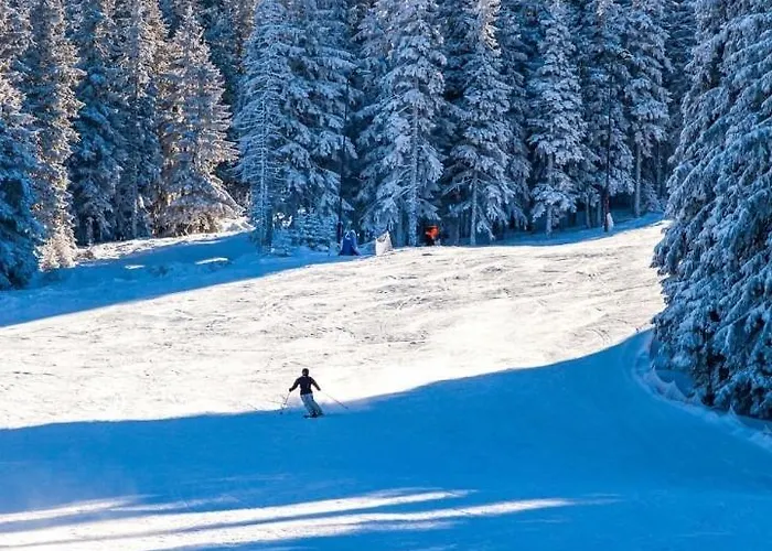 Tampa View Cosy Flat 2 * Brasov